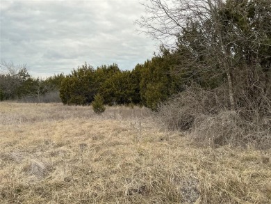 This lot won't last long. Everyone is looking for 1 AC or more on White Bluff Resort - New Course in Texas - for sale on GolfHomes.com, golf home, golf lot