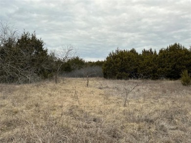 This lot won't last long. Everyone is looking for 1 AC or more on White Bluff Resort - New Course in Texas - for sale on GolfHomes.com, golf home, golf lot