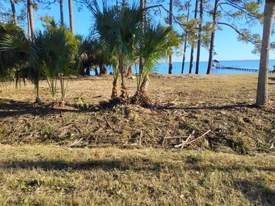 Carrabelle, FL BAYFRONT PROPERTY ZONED on Quail Heights Golf and Country Club in Florida - for sale on GolfHomes.com, golf home, golf lot