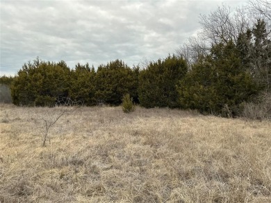 This lot won't last long. Everyone is looking for 1 AC or more on White Bluff Resort - New Course in Texas - for sale on GolfHomes.com, golf home, golf lot