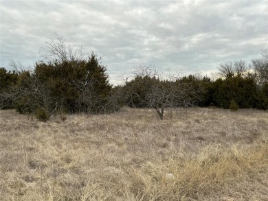 This lot won't last long. Everyone is looking for 1 AC or more on White Bluff Resort - New Course in Texas - for sale on GolfHomes.com, golf home, golf lot