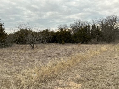 This lot won't last long. Everyone is looking for 1 AC or more on White Bluff Resort - New Course in Texas - for sale on GolfHomes.com, golf home, golf lot