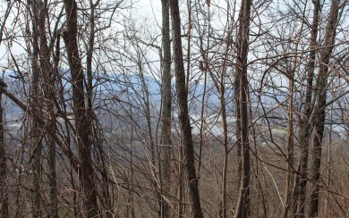 LAKE CHATUGE VIEWS PLUS LUXURY GOLF COURSE LIVING IN THE NORTH on Mountain Harbour Golf Club in North Carolina - for sale on GolfHomes.com, golf home, golf lot