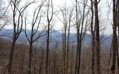 LAKE CHATUGE VIEWS PLUS LUXURY GOLF COURSE LIVING IN THE NORTH on Mountain Harbour Golf Club in North Carolina - for sale on GolfHomes.com, golf home, golf lot