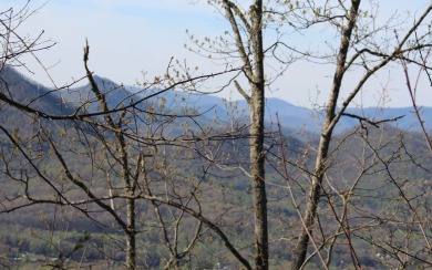 LAKE CHATUGE VIEWS PLUS LUXURY GOLF COURSE LIVING IN THE NORTH on Mountain Harbour Golf Club in North Carolina - for sale on GolfHomes.com, golf home, golf lot