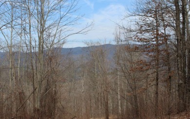 Big views of the Western North Carolina mountains. Conveniently on Mountain Harbour Golf Club in North Carolina - for sale on GolfHomes.com, golf home, golf lot