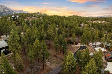 Gabi Bergstrom, RE/MAX Pinnacle, C: , gabibergstrom,  /: Welcome on The Glacier Club in Colorado - for sale on GolfHomes.com, golf home, golf lot