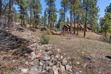 Gabi Bergstrom, RE/MAX Pinnacle, C: , gabibergstrom,  /: Welcome on The Glacier Club in Colorado - for sale on GolfHomes.com, golf home, golf lot
