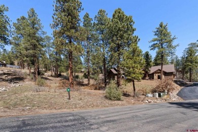 Gabi Bergstrom, RE/MAX Pinnacle, C: , gabibergstrom,  /: Welcome on The Glacier Club in Colorado - for sale on GolfHomes.com, golf home, golf lot