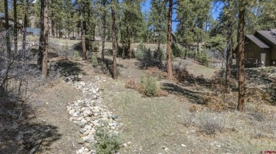 Gabi Bergstrom, RE/MAX Pinnacle, C: , gabibergstrom,  /: Welcome on The Glacier Club in Colorado - for sale on GolfHomes.com, golf home, golf lot