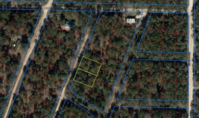 **Your Ideal Retreat: .23 Acres in Williston Highlands** This on Williston Highlands Golf and Country Club in Florida - for sale on GolfHomes.com, golf home, golf lot