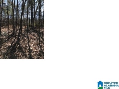 GREAT BUILDING LOT ON THE SEVENTH FAIRWAY OF ALPINE BAY GOLF on Alpine Bay Resort in Alabama - for sale on GolfHomes.com, golf home, golf lot