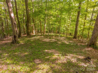 A charming cottage with easy access and privacy.  This home on Wolf Laurel Country Club in North Carolina - for sale on GolfHomes.com, golf home, golf lot