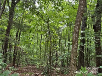 Great opportunity to build your dream home in prestigious on Kenmure Country Club in North Carolina - for sale on GolfHomes.com, golf home, golf lot