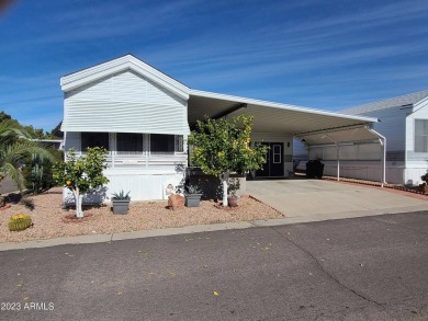 Rare Corner Lot Location, 2 Car Plus Golf Cart Parking, Detached on Viewpoint Golf Resort in Arizona - for sale on GolfHomes.com, golf home, golf lot