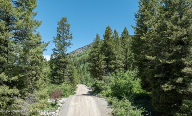 Beautifully treed covered lot in Star Valley Ranch very close to on Aspen Hills Golf Course in Wyoming - for sale on GolfHomes.com, golf home, golf lot