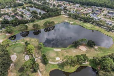You must come see this beautiful, fully updated home located on Countryway Golf Course in Florida - for sale on GolfHomes.com, golf home, golf lot