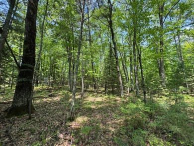 Timber Ridge Parcel on Timber Ridge Golf Club in Wisconsin - for sale on GolfHomes.com, golf home, golf lot