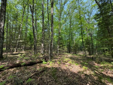 Timber Ridge Parcel on Timber Ridge Golf Club in Wisconsin - for sale on GolfHomes.com, golf home, golf lot