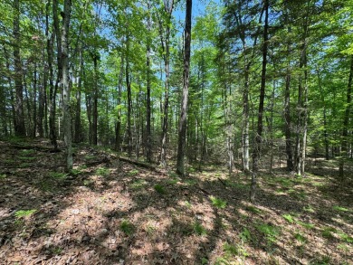 Timber Ridge Parcel on Timber Ridge Golf Club in Wisconsin - for sale on GolfHomes.com, golf home, golf lot