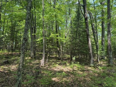 Timber Ridge Parcel on Timber Ridge Golf Club in Wisconsin - for sale on GolfHomes.com, golf home, golf lot