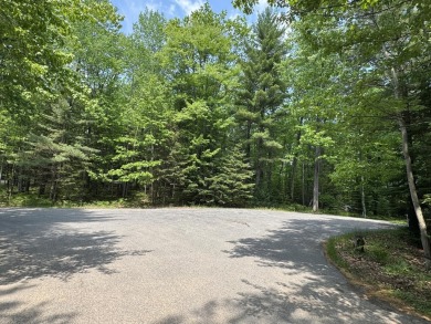 Timber Ridge Parcel on Timber Ridge Golf Club in Wisconsin - for sale on GolfHomes.com, golf home, golf lot