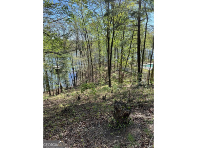 WATERFRONT ESTATE LAKE LOT w/ 32'X32* dock A rare opportunity to on Chattahoochee Golf Course in Georgia - for sale on GolfHomes.com, golf home, golf lot
