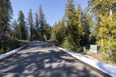 Beautiful 1 Acre Building Site , Located on The Moose Mountain on The Idaho Club in Idaho - for sale on GolfHomes.com, golf home, golf lot