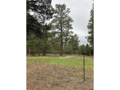 Leslie A Musselmann, Vision Real Estate Investments, C: on The Divide Ranch and Club in Colorado - for sale on GolfHomes.com, golf home, golf lot