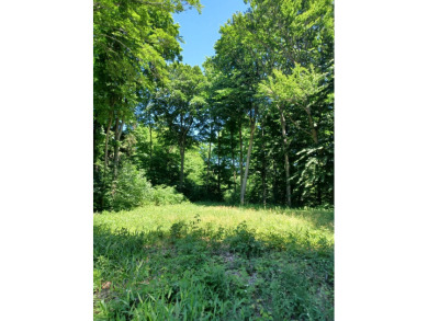 One acre lot at Hawkshead Golf Course! Build your dream home on on HawksHead Links in Michigan - for sale on GolfHomes.com, golf home, golf lot