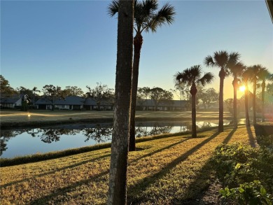 Well maintained END UNIT with WATER VIEW, spacious HIGH CEILINGS on The Meadows Golf and Country Club in Florida - for sale on GolfHomes.com, golf home, golf lot