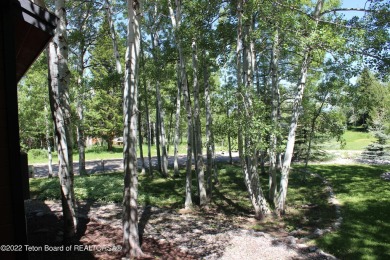 Newly remodeled, one-level home with a fully finished basement on Aspen Hills Golf Course in Wyoming - for sale on GolfHomes.com, golf home, golf lot