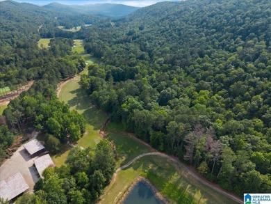 Overlooking the beautiful Limestone Springs golf course, this on Limestone Springs Golf Club in Alabama - for sale on GolfHomes.com, golf home, golf lot