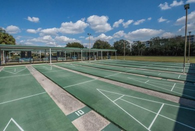 Welcome to 2115 N Halcyon, Sun City Center, FL - Located in the on Falcon Watch Golf Club in Florida - for sale on GolfHomes.com, golf home, golf lot