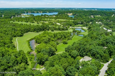 60 Bluff Rd on River Run Golf Club in Tennessee - for sale on GolfHomes.com, golf home, golf lot