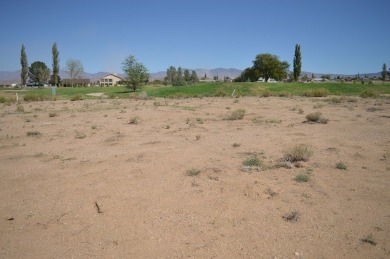 Large Golf Course Lot, Desirable area, Ready to Build Your Dream on Valle Vista Golf Course in Arizona - for sale on GolfHomes.com, golf home, golf lot