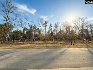 This exceptional and generous .29-acre homesite offers a serene on Timberlake Country Club in South Carolina - for sale on GolfHomes.com, golf home, golf lot