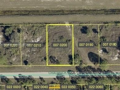 Beautiful buildable lot of pristine land! Zoned residential and on Mirror Lakes Golf Club in Florida - for sale on GolfHomes.com, golf home, golf lot