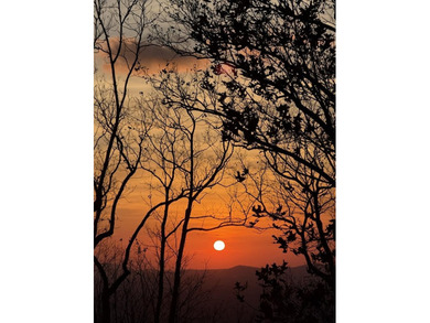 You will be Over the Moon in Love with this charming 3-bedroom 2 on Big Canoe Golf Club - Cherokee in Georgia - for sale on GolfHomes.com, golf home, golf lot