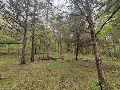 Ready for a vacation get-a-way?? This lot is ready for your on Holiday Island Executive Golf Course in Arkansas - for sale on GolfHomes.com, golf home, golf lot