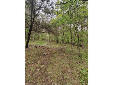 Ready for a vacation get-a-way?? This lot is ready for your on Holiday Island Executive Golf Course in Arkansas - for sale on GolfHomes.com, golf home, golf lot