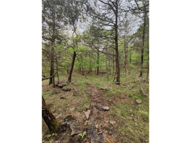 Ready for a vacation get-a-way?? This lot is ready for your on Holiday Island Executive Golf Course in Arkansas - for sale on GolfHomes.com, golf home, golf lot