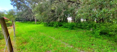 55+/2007/2 BD/2 BA/1012 SQ FT/PARK FEES ONLY $933.00/LARGE HOME on Southport Springs Golf Club in Florida - for sale on GolfHomes.com, golf home, golf lot