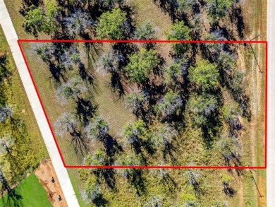 Lot 3299. It is time to build your custom dream home and hanger on Pecan Plantation Country Club in Texas - for sale on GolfHomes.com, golf home, golf lot