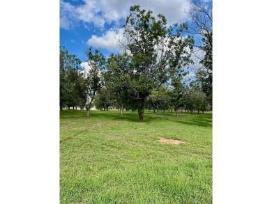 Lot 3299. It is time to build your custom dream home and hanger on Pecan Plantation Country Club in Texas - for sale on GolfHomes.com, golf home, golf lot