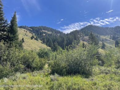 The only lot in the Residences available with Snake River Views! on Snake River Sporting Club in Wyoming - for sale on GolfHomes.com, golf home, golf lot