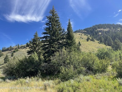 The only lot in the Residences available with Snake River Views! on Snake River Sporting Club in Wyoming - for sale on GolfHomes.com, golf home, golf lot