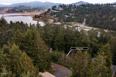 Location, location location! West side of Hwy 101 in the sought on Salishan Spa and Golf Resort in Oregon - for sale on GolfHomes.com, golf home, golf lot