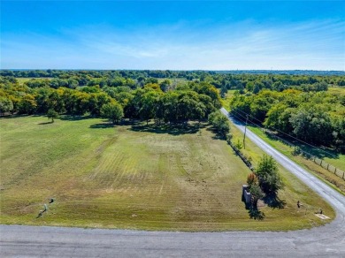 This prime corner lot is nestled in the peaceful, upscale on Denison Country Club in Texas - for sale on GolfHomes.com, golf home, golf lot