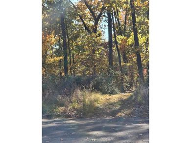 Experience outdoor-living meets modern convenience in beautiful on Bella Vista - Metfield Golf Complex and Country Club in Arkansas - for sale on GolfHomes.com, golf home, golf lot